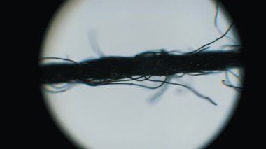 Yüksek büyütmede hareket eden odaklı siyah iplik liflerinin göz teması. Tekstil araştırması, malzeme bilimi incelemesi ya da beyaz arka planda gevşek lifler gösteren laboratuvar analizi için..