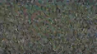 Titreyen analog televizyon parazit dokusunun kusursuz döngüsü. Siyah, beyaz ve gri noktalardan oluşan yoğun bir desen, geçmişe dönük veya arızalı sanat arkaplanları için sinyal ekranı etkisi yaratmaz..