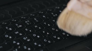 Tozlu siyah bir dizüstü bilgisayarın klavyesi. Ahşap fırçalı bir el, bilgisayar donanımı ve temizliği için elektronik bakım hizmetinin bir parçası olarak toprağı, enkazı ve parçacıkları süpürür..