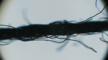 Mikroskop görüntüsü siyah iplik dokunmuş lifleri ve iplik dokusunu yakından gösteriyor. Parlak bir arkaplan ve dairesel göz çerçevesi tekstil endüstrisi kalite kontrolü için karanlık nesneyi vurgular.