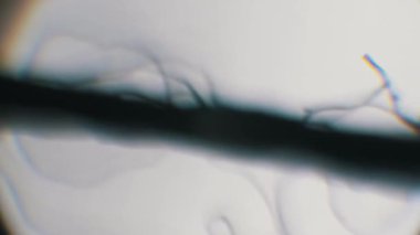 Beyaz arka planda tek iplikli iplikleri gösteren siyah bir dikiş ipliğinin makro görüntüsü. Tekstil materyali analizi için kromatik sapkınlığı olan optik bir mikroskop ya da bir laboratuarda bilimsel muayene.