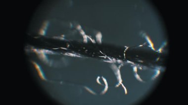 Odak kayması olan sentetik ipliğin göz görüşü makrosu gevşemiş lifleri gösteriyor. Tekstil araştırmaları, malzeme bilimi veya kalite kontrolü için beyaz arka planda siyah siluet.