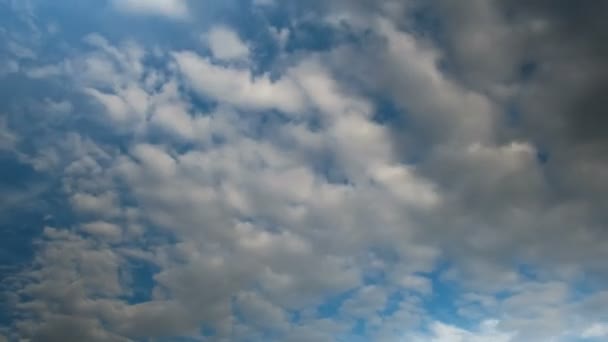 Wolken ziehen in den blauen Himmel. — Stockvideo