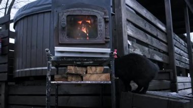 Siyah bir kedi ahşap bir güverte boyunca yürür içinde görünür bir ateş olan metal bir odun sobasının yanından geçer. Bir odun yığını sobanın altında, ahşap bir jakuzinin yanında duruyor..
