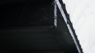 Berrak yağmur damlacıkları yağmur yağarken ıslak, karanlık, ahşap bir çatının köşesinden ritmik olarak düşer. Kerestenin yıpranmış dokusu yağmurlu bir günün kasvetli ama huzurlu atmosferini vurgular..