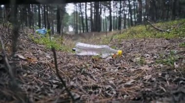 Plastik atık yoğun bir çam ağacından yapılma zemine saçılmış. Bu yakın çekim, insan ihmalinin vahşi yaşam alanları üzerindeki olumsuz etkisini gösteriyor..
