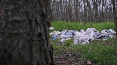 Büyük bir yığın ev çöpü ve plastik şişeler yeşil bir ormanı kirletiyor. Yasadışı atık alanı ilkbaharda doğal ekosisteme ve toprağa zarar veriyor..