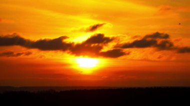 Kara bulutlar, bir orman siluetinin arkasına çökerken parlayan bir güneş boyunca sürükleniyor. Sahnede parlak ışığa karşı doymuş renkler ve keskin hatlar yer alıyor..