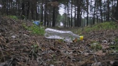Boş bir plastik şişe bir çam ormanında yere atılmış. Tek kullanımlık atık ağaçları ve otları çevreleyen doğal çevreyi kirletir..