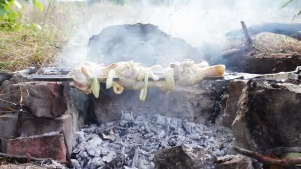 Spieße mit Hühnchen werden auf dem Feuer gekocht — Stockvideo