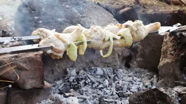 Spieße mit Hühnchen werden auf dem Feuer gekocht — Stockvideo