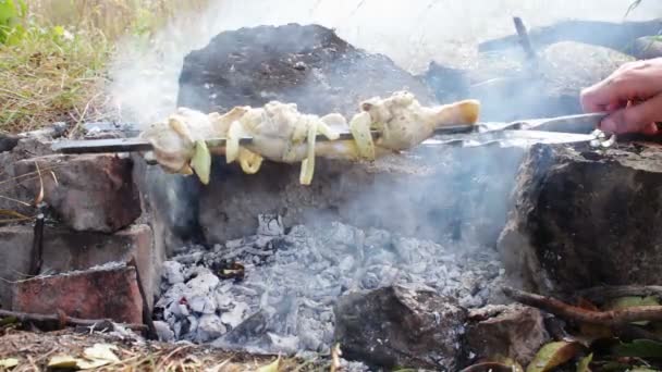 Spieße mit Hühnchen werden auf dem Feuer gekocht — Stockvideo