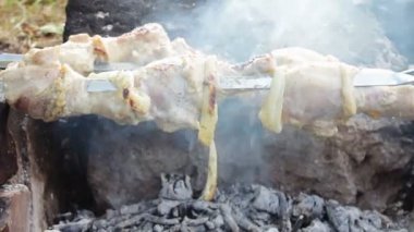 Tavuk vardır pişmiş On Fire kebap