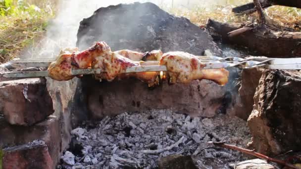 Кебабы с курицей готовятся на огне — стоковое видео