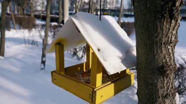 Çekirdekle dolu sarı ahşap kuş yemi karlı bir parktaki ağaçta asılı duruyor. Parlak güneş ışığı, zemini kaplayan beyaz kar ve besleyicilerin çatısı üzerine gölgeler düşürür..