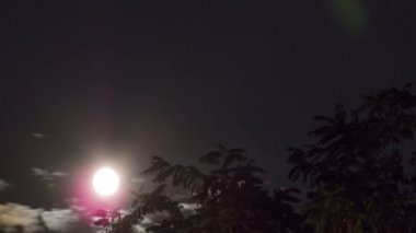 Ufuk ve arka planda gece yıldızlar ve bulutlar ağaçlar üzerinde gece ay doğar.