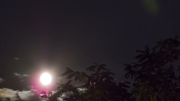 Éjszaka a hold emelkedik a horizonton, és a fák, a háttérben a csillagok éjszaka és a felhők. — Stock videók