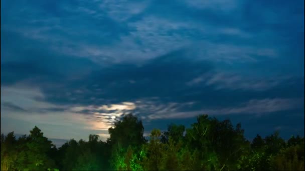 夜月が昇る地平線や夜の星と雲の背景の木に. — ストック動画