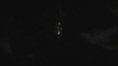 Ağaçlar ve bulutlar üzerinde gece gökyüzünde dolunay.