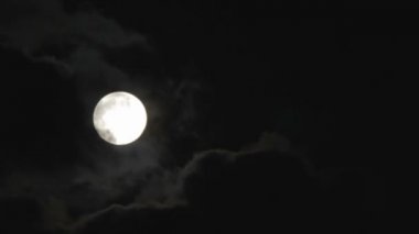 Ağaçlar ve bulutlar üzerinde gece gökyüzünde dolunay.