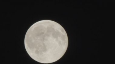 Ağaçlar ve bulutlar üzerinde gece gökyüzünde dolunay.