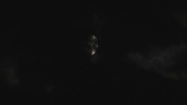 Pleine lune dans le ciel nocturne sur les arbres et les nuages . — Video