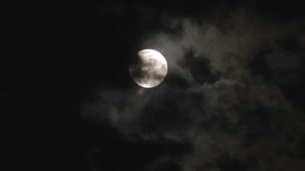 Ağaçlar ve bulutlar üzerinde gece gökyüzünde dolunay. — Stok video