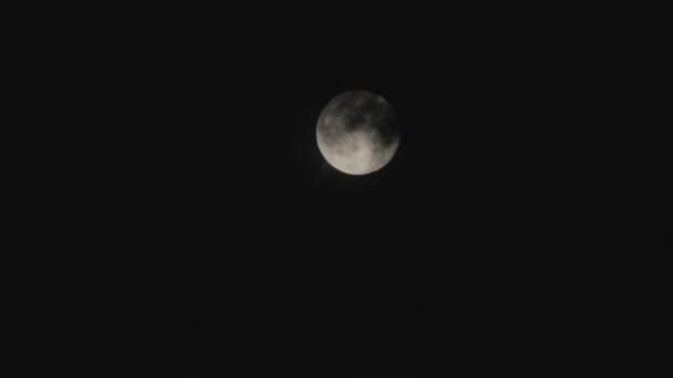 Luna llena en el cielo nocturno sobre los árboles y las nubes . — Vídeo de stock