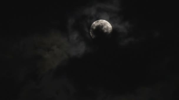 Luna llena en el cielo nocturno sobre los árboles y las nubes . — Vídeos de Stock