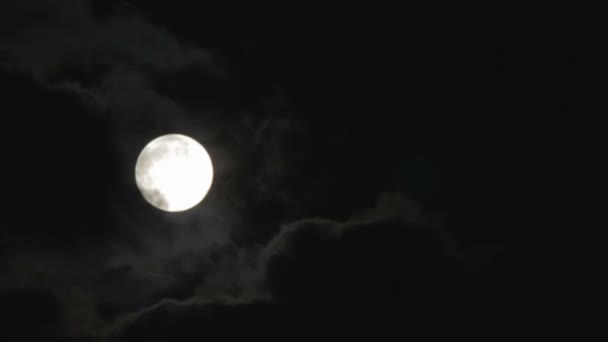 Volle maan in de nachtelijke hemel over de bomen en de wolken. — Stockvideo