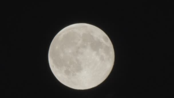 Luna llena en el cielo nocturno sobre los árboles y las nubes . — Vídeos de Stock