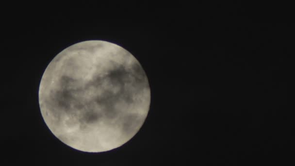 Luna llena en el cielo nocturno sobre los árboles y las nubes . — Vídeo de stock