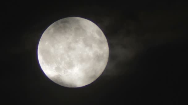 Fullmåne i natthimlen över träd och moln. — Stockvideo