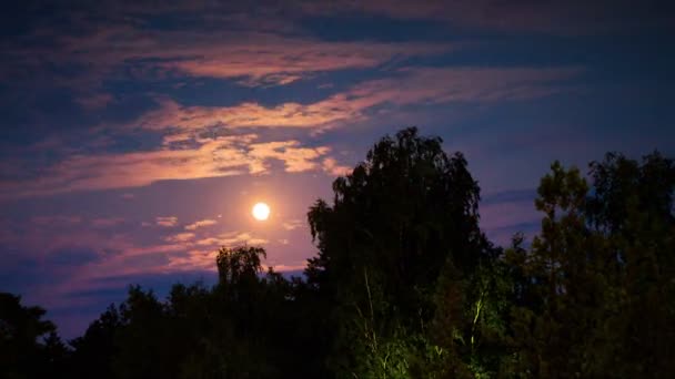 Nacht Mond steigt am Horizont und Bäume auf dem Hintergrund der Nachtsterne und Wolken. — Stockvideo