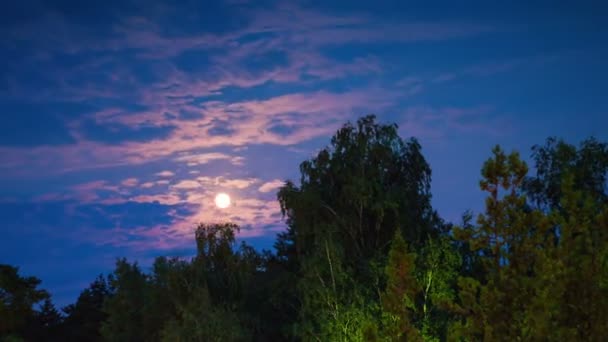 Nacht maan stijgt op de horizon en de bomen op de achtergrond van de nacht sterren en de wolken. — Stockvideo