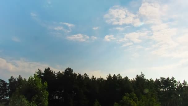 Wolken am Himmel über den Bäumen. — Stockvideo