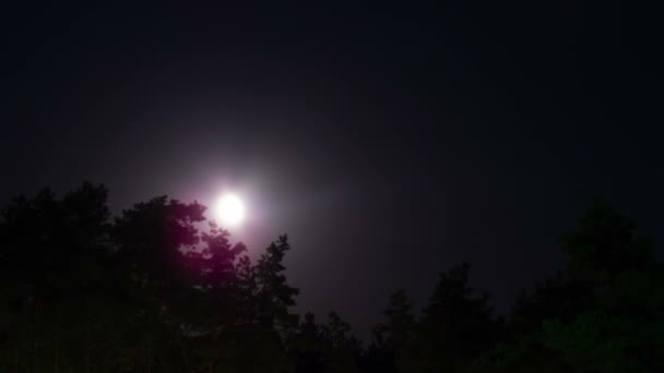 Nacht maan stijgt op de horizon en de bomen op de achtergrond van de nacht sterren en de wolken. — Stockvideo