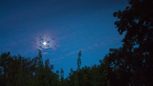 Lune de nuit se lève à l'horizon et les arbres sur le fond des étoiles de la nuit et des nuages . — Video