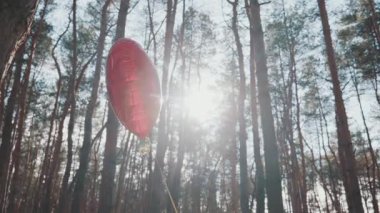 Kırmızı bir kalp şeklindeki folyo balonu parlak güneş ışığına karşı uzun çam ağaçları arasında yüzer. Güneş, romantik bir atmosferi çağrıştıran bir parlama yaratır. Doğada sevgi ve kutlama kavramı.