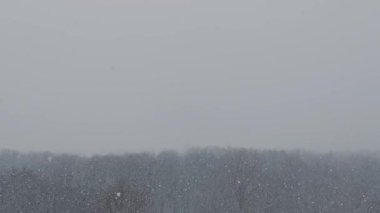 Gri bir kış öğleden sonrası boyunca yoğun kar taneleri bulanık ağaçların üzerine hızla düşer. Sert hava koşulları, değişen mevsimler ve bir kar fırtınasının sessiz yalnızlığı kavramı.