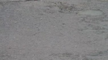 Yağmur damlat su birikintileri üzerinden.