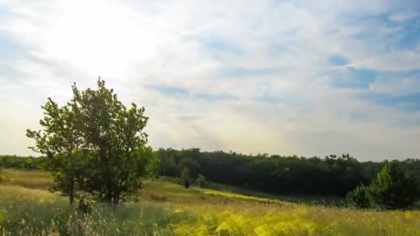 Puesta de sol sobre los árboles a través de nubes . — Vídeos de Stock