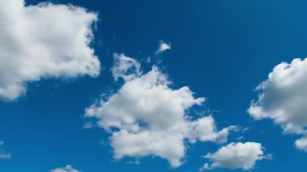 Moln rör sig i den blå himlen. — Stockvideo