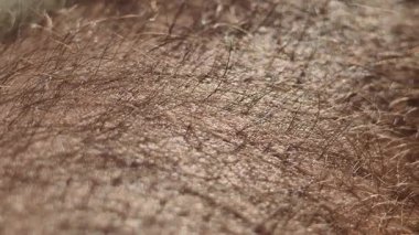 Aşırı yakın çekim, insan derisinin detaylı dokusunu gösteriyor. Pilotun ereksiyonu ince tüylerin dikilmesine neden oluyor. Bu biyolojik reaksiyon, soğuk ya da duygusal uyarıcılara karşı bir tepkiyi yansıtır..