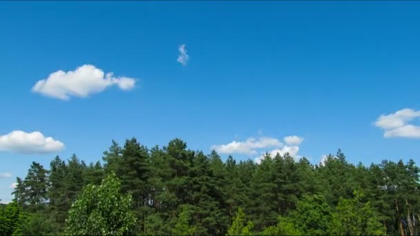 Nuages dans le ciel se déplaçant au-dessus des arbres . — Video