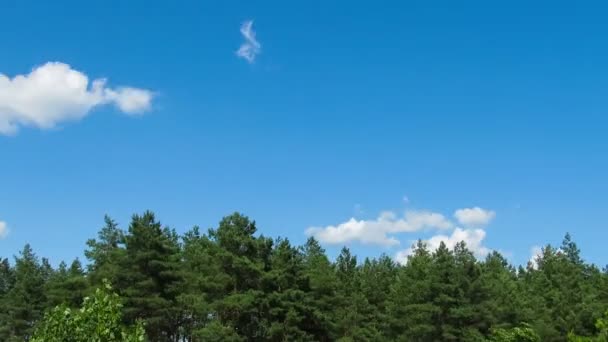 Ağaçlar üzerinde hareket gökyüzünde bulutlar. — Stok video