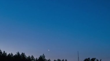 Ağaçların arasından bulutların hareketi üzerinde gündoğumu.