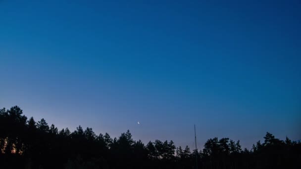 Zonsopgang boven de bomen, door de beweging van de wolken. — Stockvideo