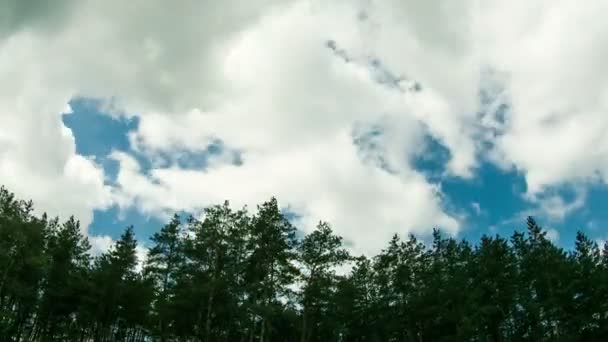 Nuvens no céu movendo-se acima das árvores . — Vídeo de Stock