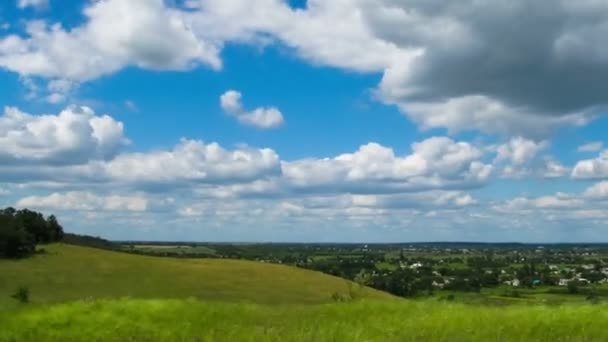 Landschap, wolken verplaatsen over een veld met bomen. — Stockvideo